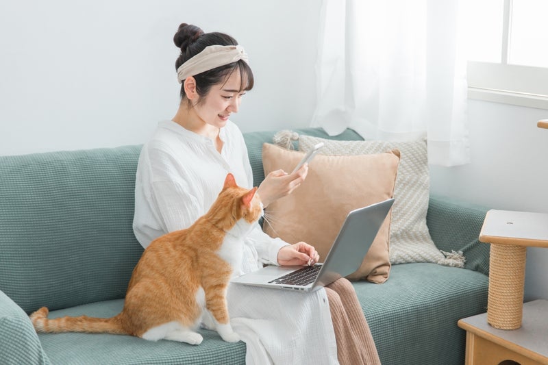 初心者がアフィリエイトブログで稼ぐ12のコツの画像