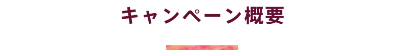 キャンペーン概要