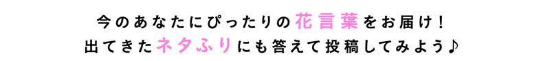 今のあなたにぴったりの花言葉をお届け！ 出てきたネタふりにも答えて投稿してみよう♪